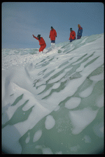 Corel Professional Photos: Ice and Icebergs 