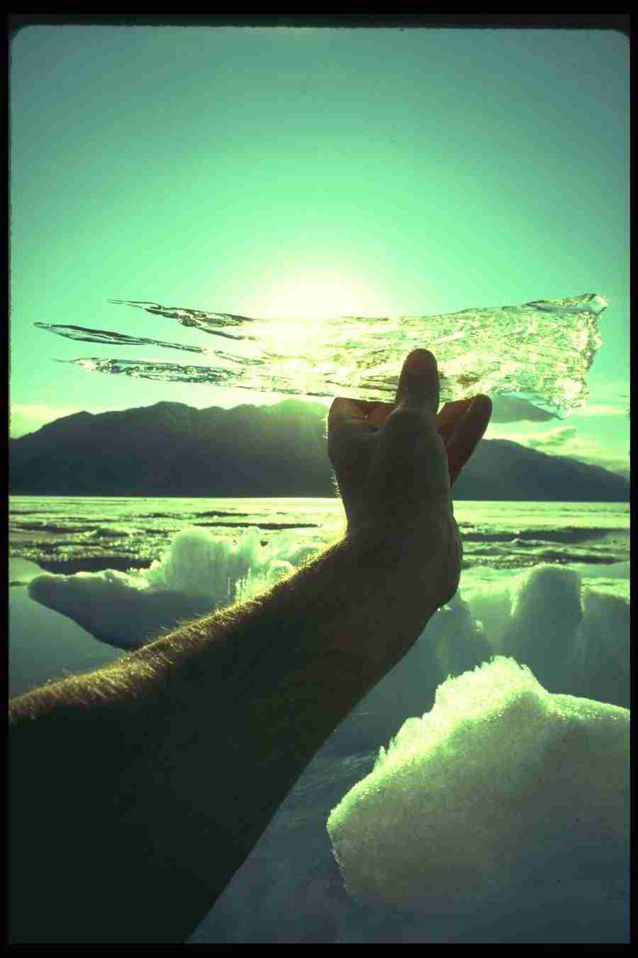 Ice and Icebergs - Corel Professional Photos ></a>
<script language=JavaScript> 
  var txt = 
