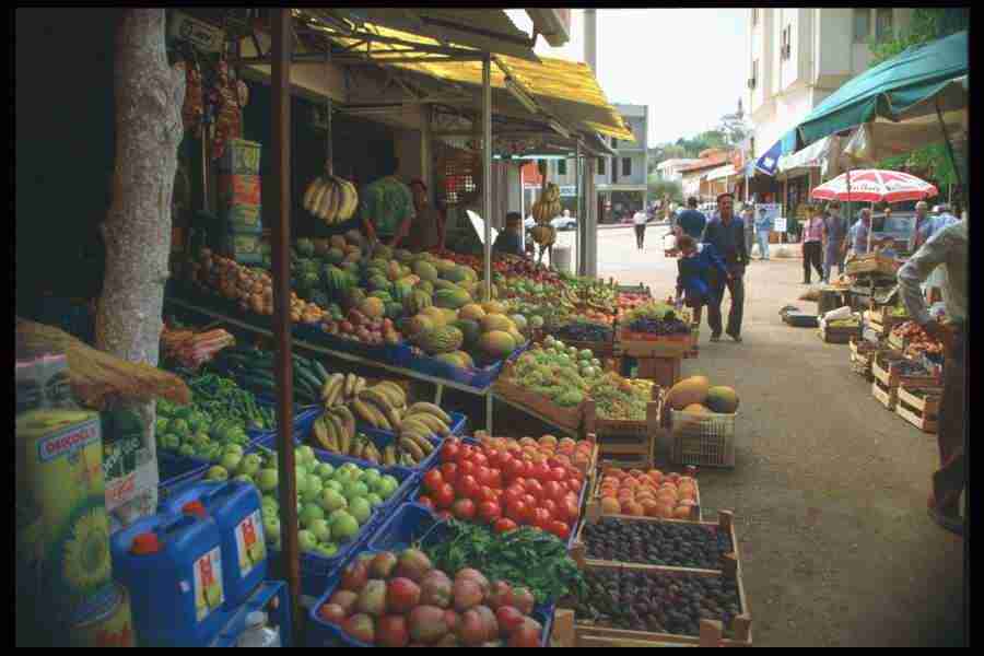 Images of Turkey - Corel Professional Photos ></a>
<script language=JavaScript> 
  var txt = 