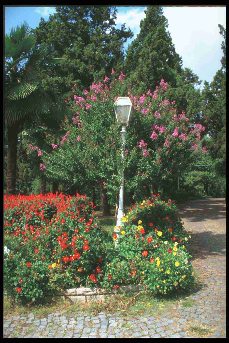 Images of Turkey - Corel Professional Photos ></a>
<script language=JavaScript> 
  var txt = 