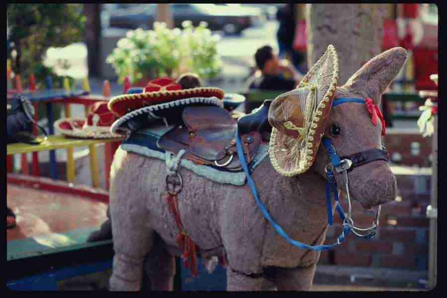 Los Angeles - Corel Professional Photos ></a>
<script language=JavaScript> 
  var txt = 