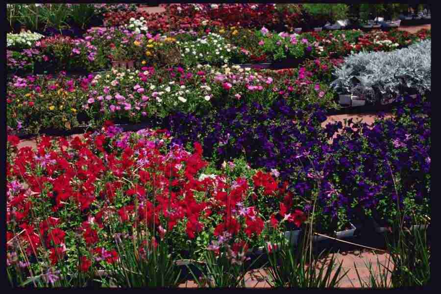 Los Angeles - Corel Professional Photos ></a>
<script language=JavaScript> 
  var txt = 