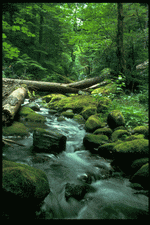 Corel Professional Photos: Lakes & Rivers 