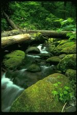 Corel Professional Photos: Lakes & Rivers 