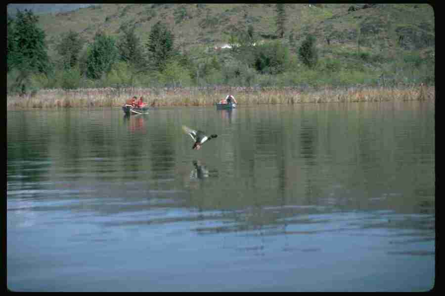 Lakes & Rivers - Corel Professional Photos ></a>
<script language=JavaScript> 
  var txt = 