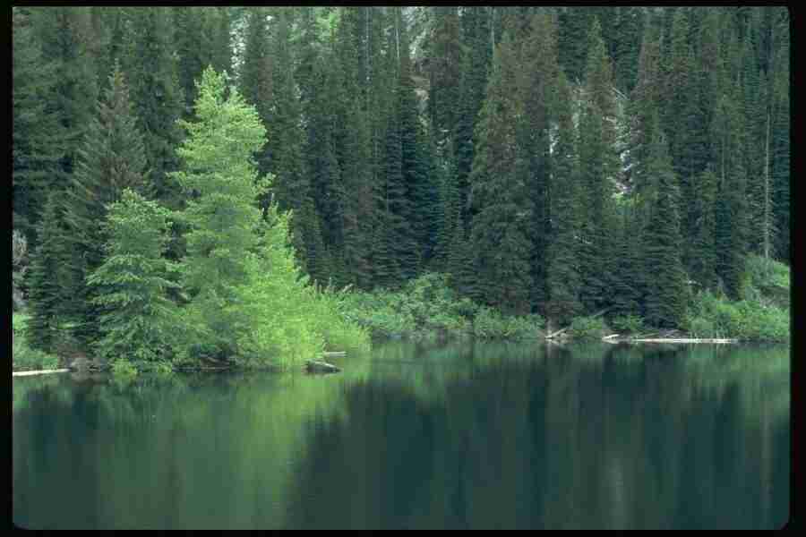 Lakes & Rivers - Corel Professional Photos ></a>
<script language=JavaScript> 
  var txt = 