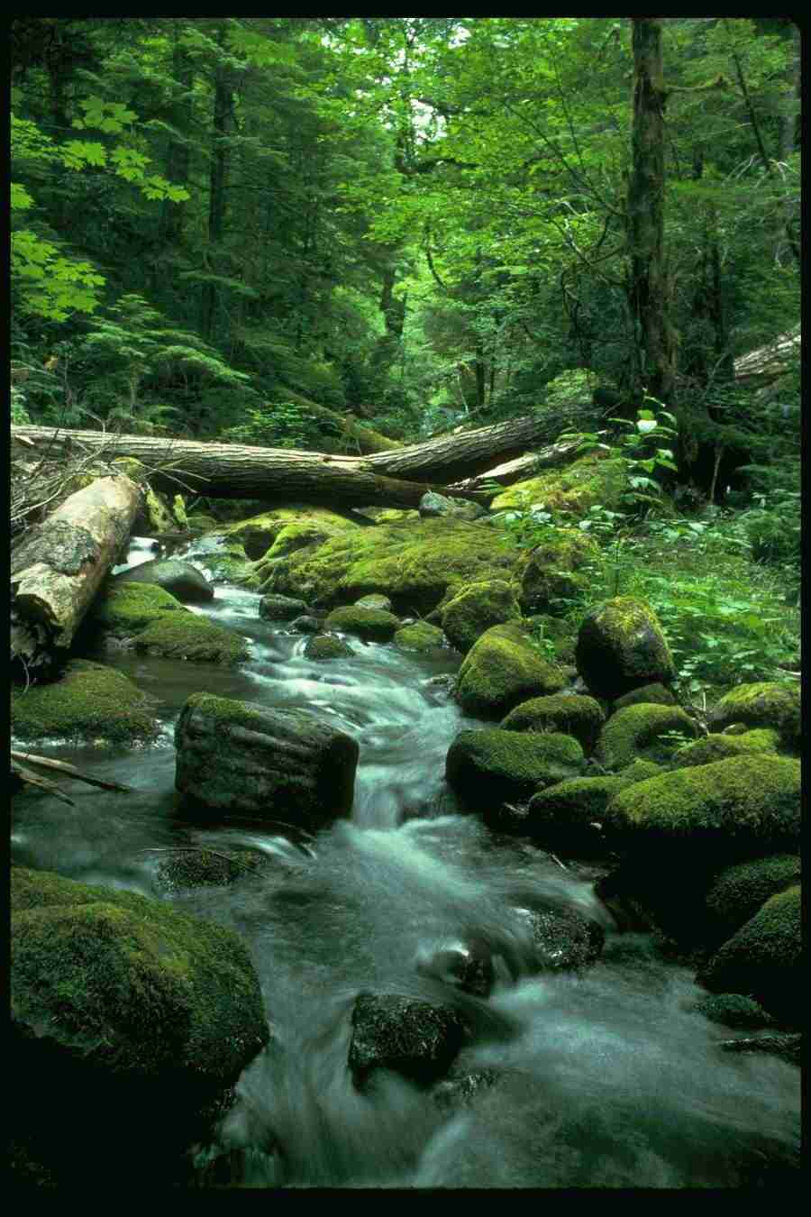 Lakes & Rivers - Corel Professional Photos ></a>
<script language=JavaScript> 
  var txt = 