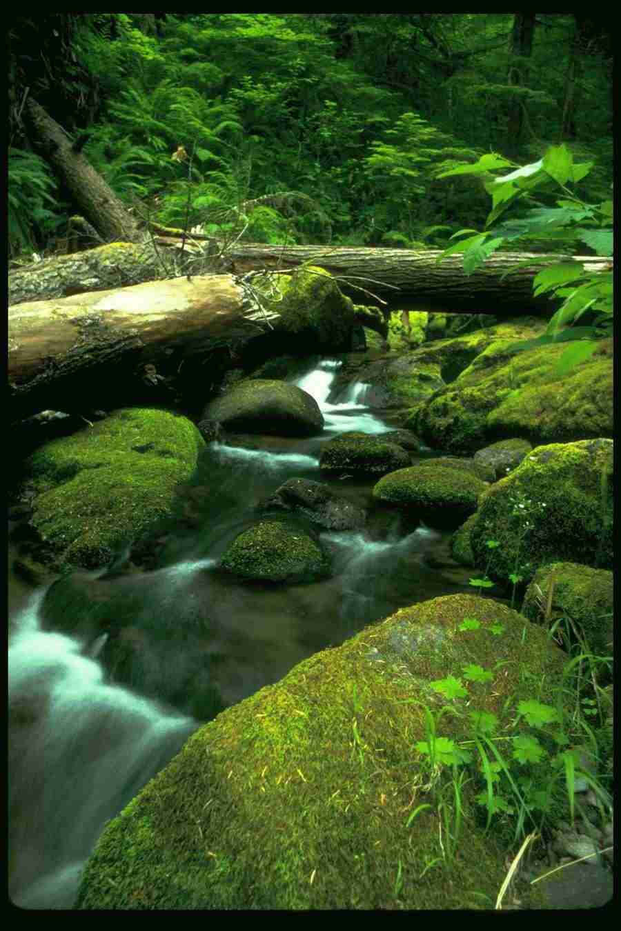 Lakes & Rivers - Corel Professional Photos ></a>
<script language=JavaScript> 
  var txt = 