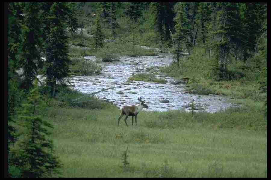 Lakes & Rivers - Corel Professional Photos ></a>
<script language=JavaScript> 
  var txt = 