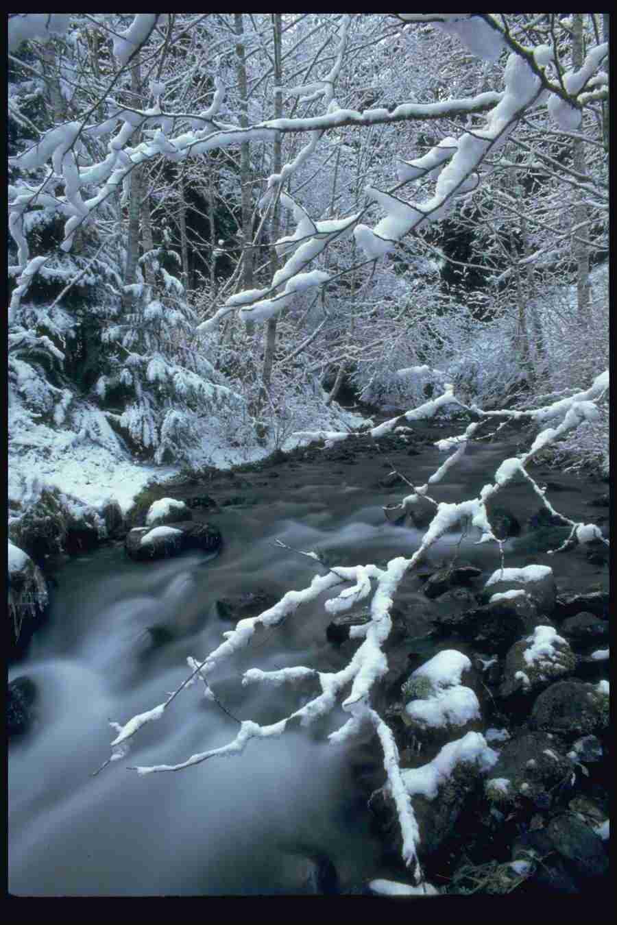 Lakes & Rivers - Corel Professional Photos ></a>
<script language=JavaScript> 
  var txt = 