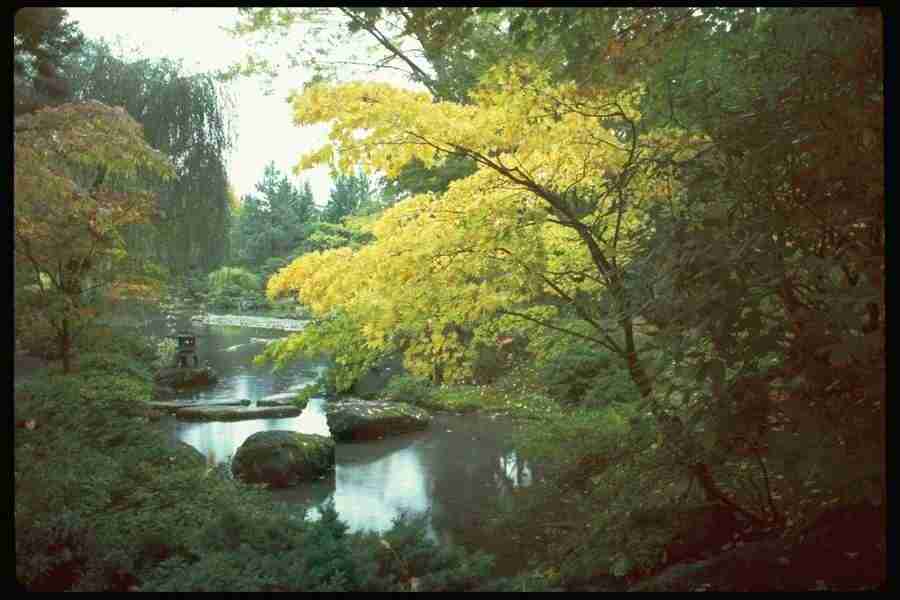 Lakes & Rivers - Corel Professional Photos ></a>
<script language=JavaScript> 
  var txt = 