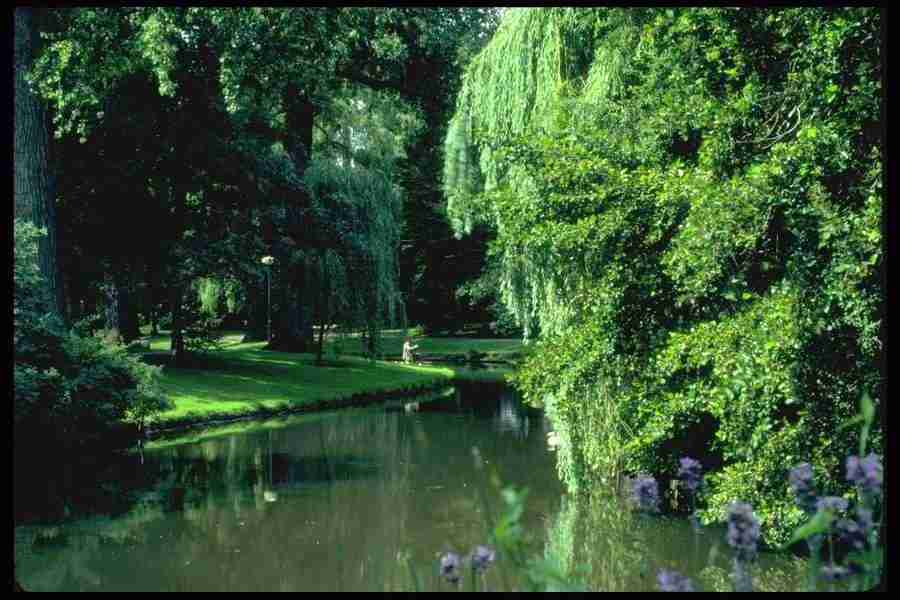 Lakes & Rivers - Corel Professional Photos ></a>
<script language=JavaScript> 
  var txt = 