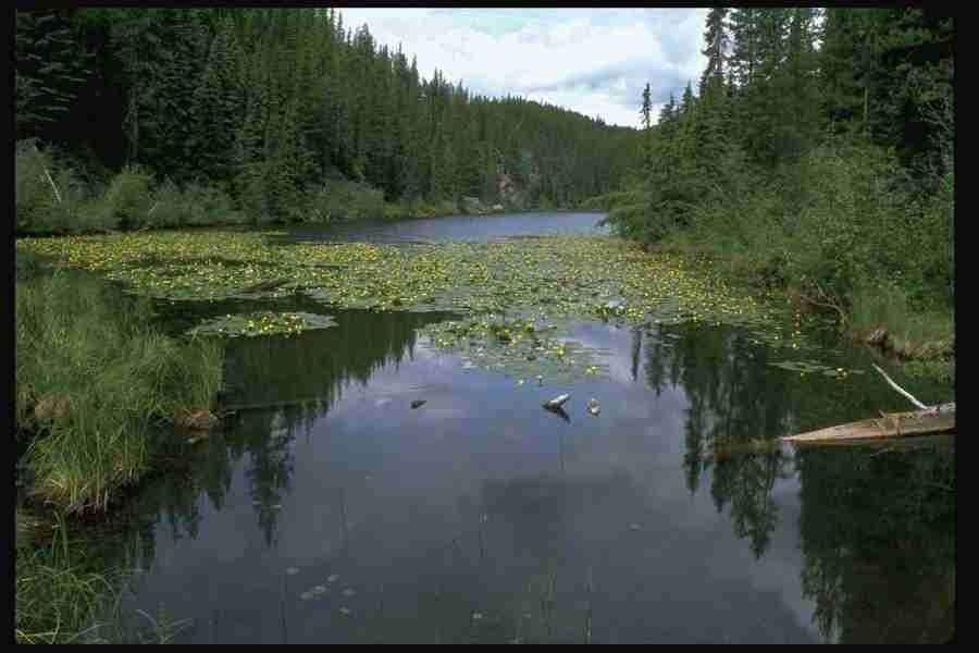 Lakes & Rivers - Corel Professional Photos ></a>
<script language=JavaScript> 
  var txt = 