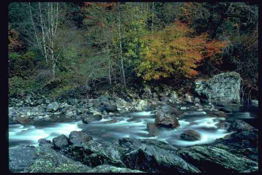 Lakes & Rivers - Corel Professional Photos ></a>
<script language=JavaScript> 
  var txt = 