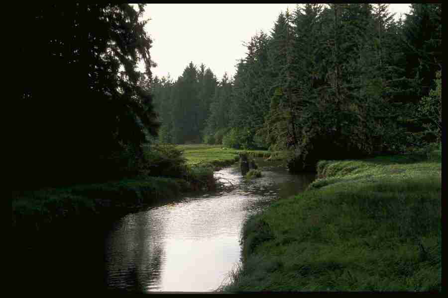 Lakes & Rivers - Corel Professional Photos ></a>
<script language=JavaScript> 
  var txt = 