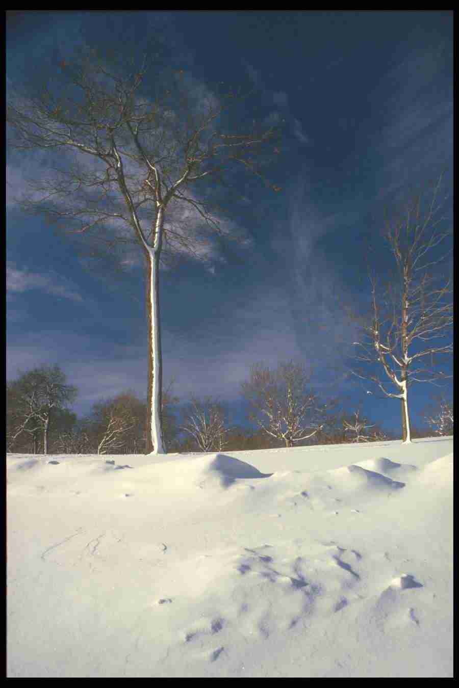 Landscape Of The World - Corel Professional Photos ></a>
<script language=JavaScript> 
  var txt = 