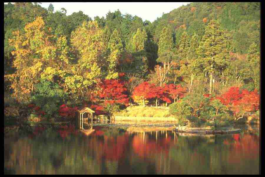 Landscape Of The World - Corel Professional Photos ></a>
<script language=JavaScript> 
  var txt = 