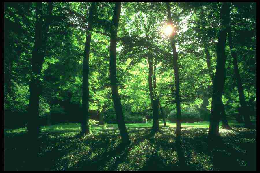 Landscape Of The World - Corel Professional Photos ></a>
<script language=JavaScript> 
  var txt = 