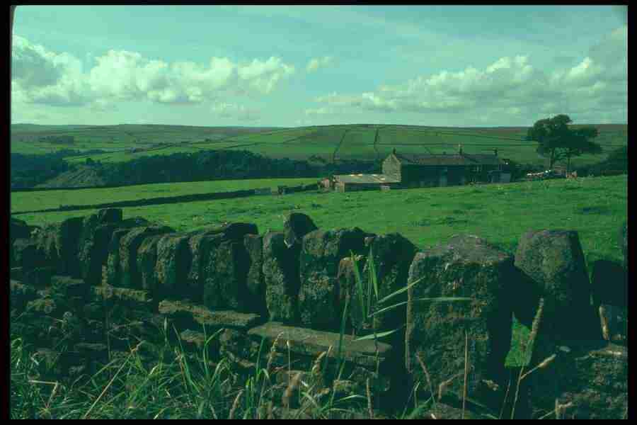 Landscape Of The World - Corel Professional Photos ></a>
<script language=JavaScript> 
  var txt = 