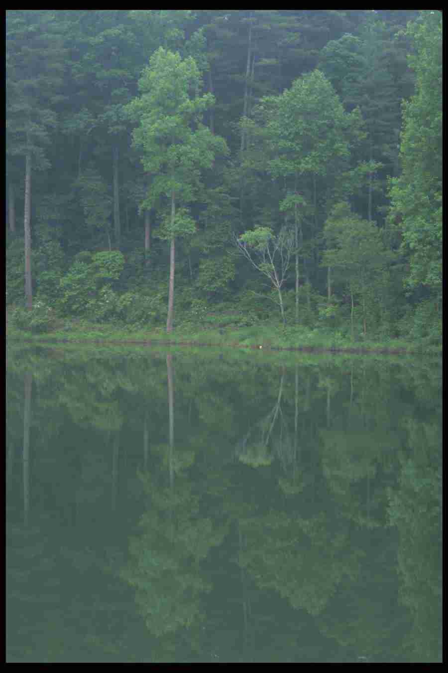 Landscape Of The World - Corel Professional Photos ></a>
<script language=JavaScript> 
  var txt = 