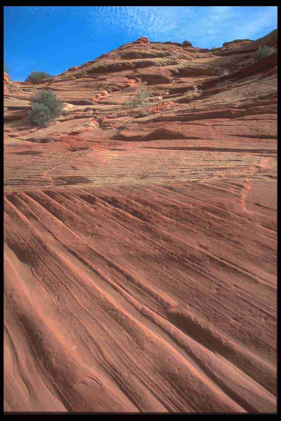 Landscape Of The World - Corel Professional Photos ></a>
<script language=JavaScript> 
  var txt = 