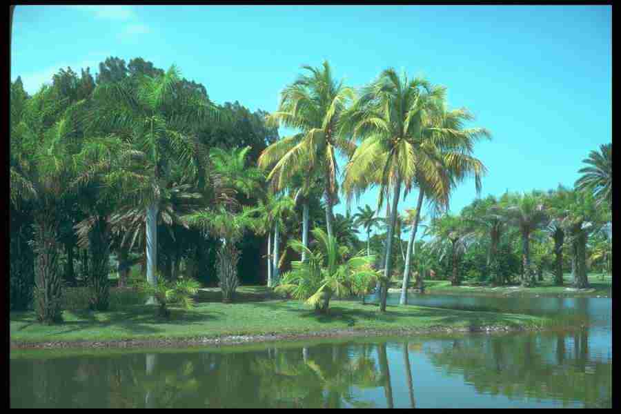 Landscape Of The World - Corel Professional Photos ></a>
<script language=JavaScript> 
  var txt = 