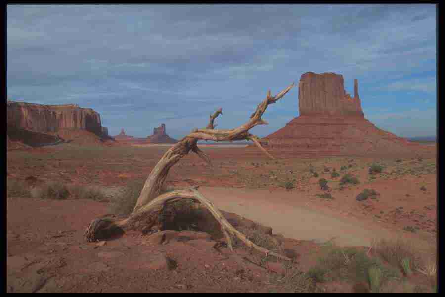 Landscape Of The World - Corel Professional Photos ></a>
<script language=JavaScript> 
  var txt = 