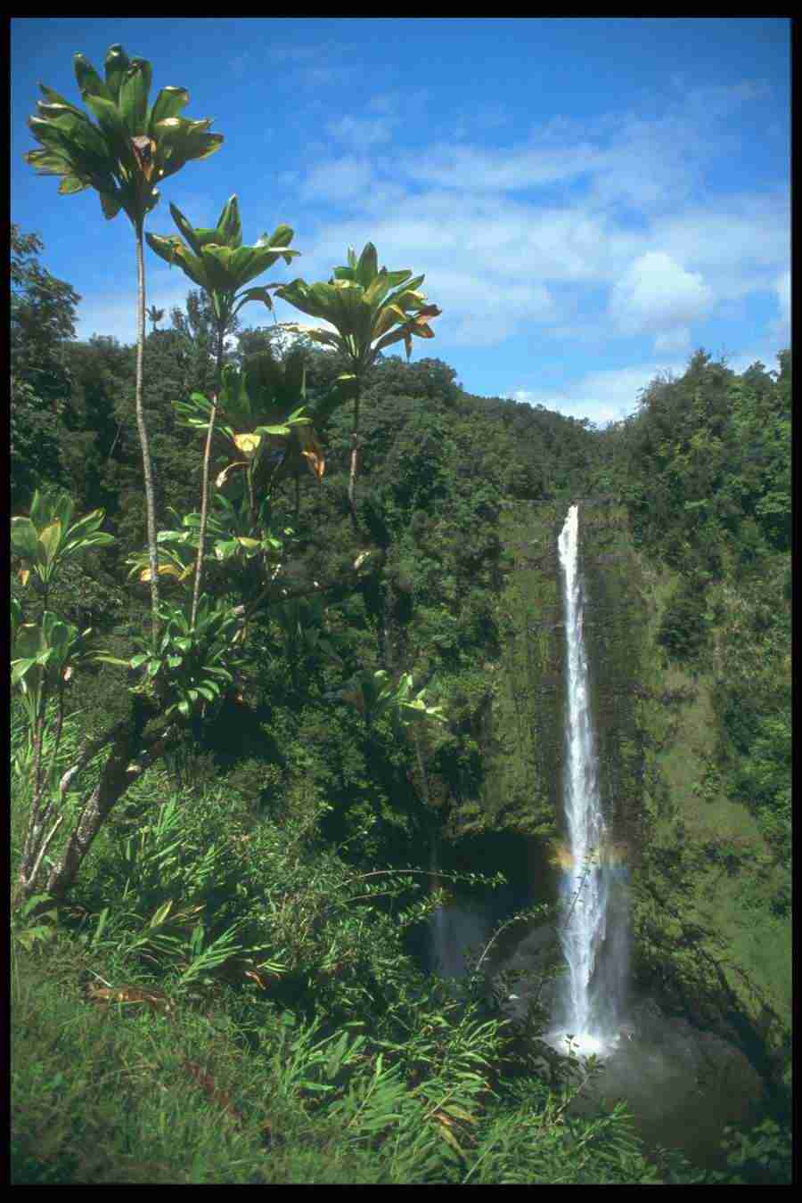 Landscape Of The World - Corel Professional Photos ></a>
<script language=JavaScript> 
  var txt = 