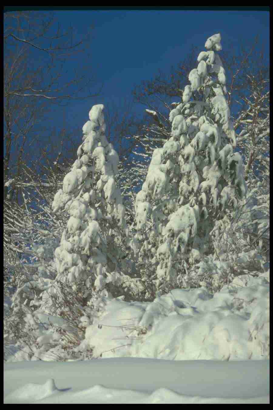 Landscape Of The World - Corel Professional Photos ></a>
<script language=JavaScript> 
  var txt = 