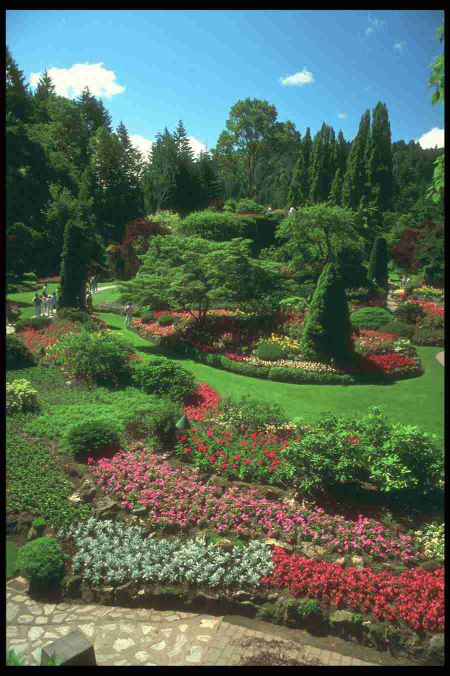 Landscape Of The World - Corel Professional Photos ></a>
<script language=JavaScript> 
  var txt = 