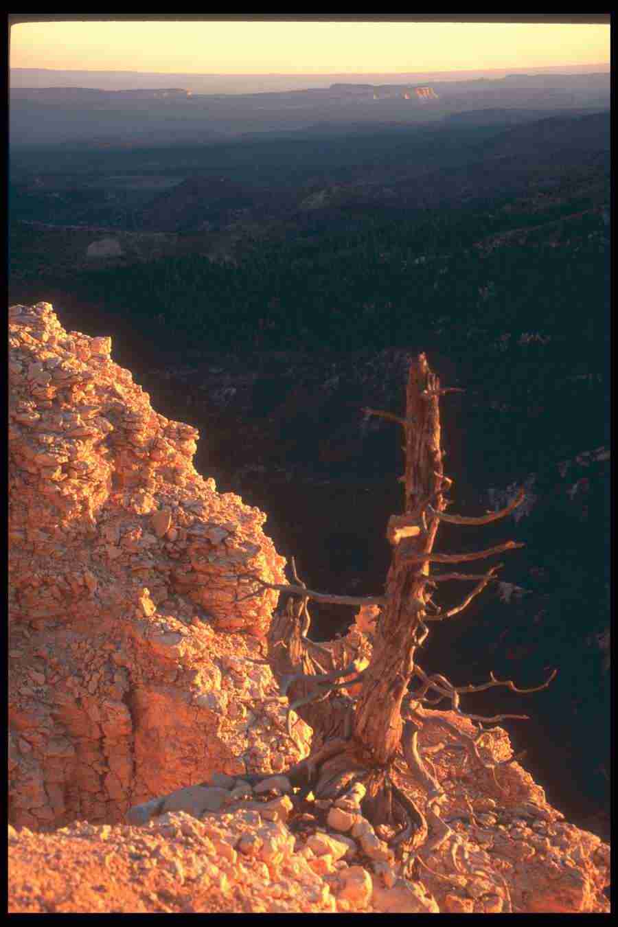 Landscape Of The World - Corel Professional Photos ></a>
<script language=JavaScript> 
  var txt = 