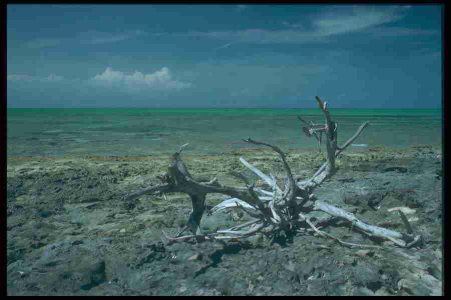 Landscape Of The World - Corel Professional Photos ></a>
<script language=JavaScript> 
  var txt = 