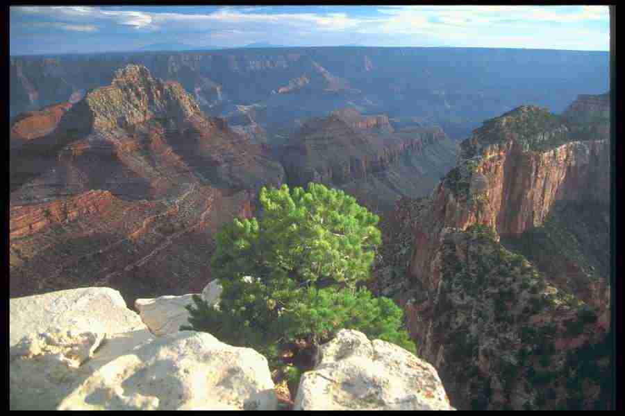 Landscape Of The World - Corel Professional Photos ></a>
<script language=JavaScript> 
  var txt = 