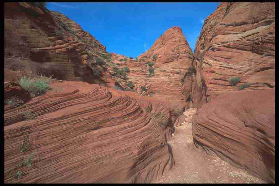 Landscape Of The World - Corel Professional Photos ></a>
<script language=JavaScript> 
  var txt = 