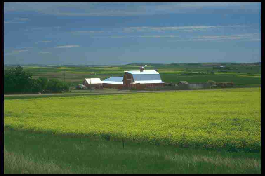 Landscape Of The World - Corel Professional Photos ></a>
<script language=JavaScript> 
  var txt = 