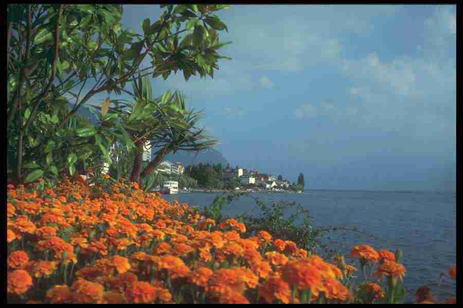 Landscape Of The World - Corel Professional Photos ></a>
<script language=JavaScript> 
  var txt = 