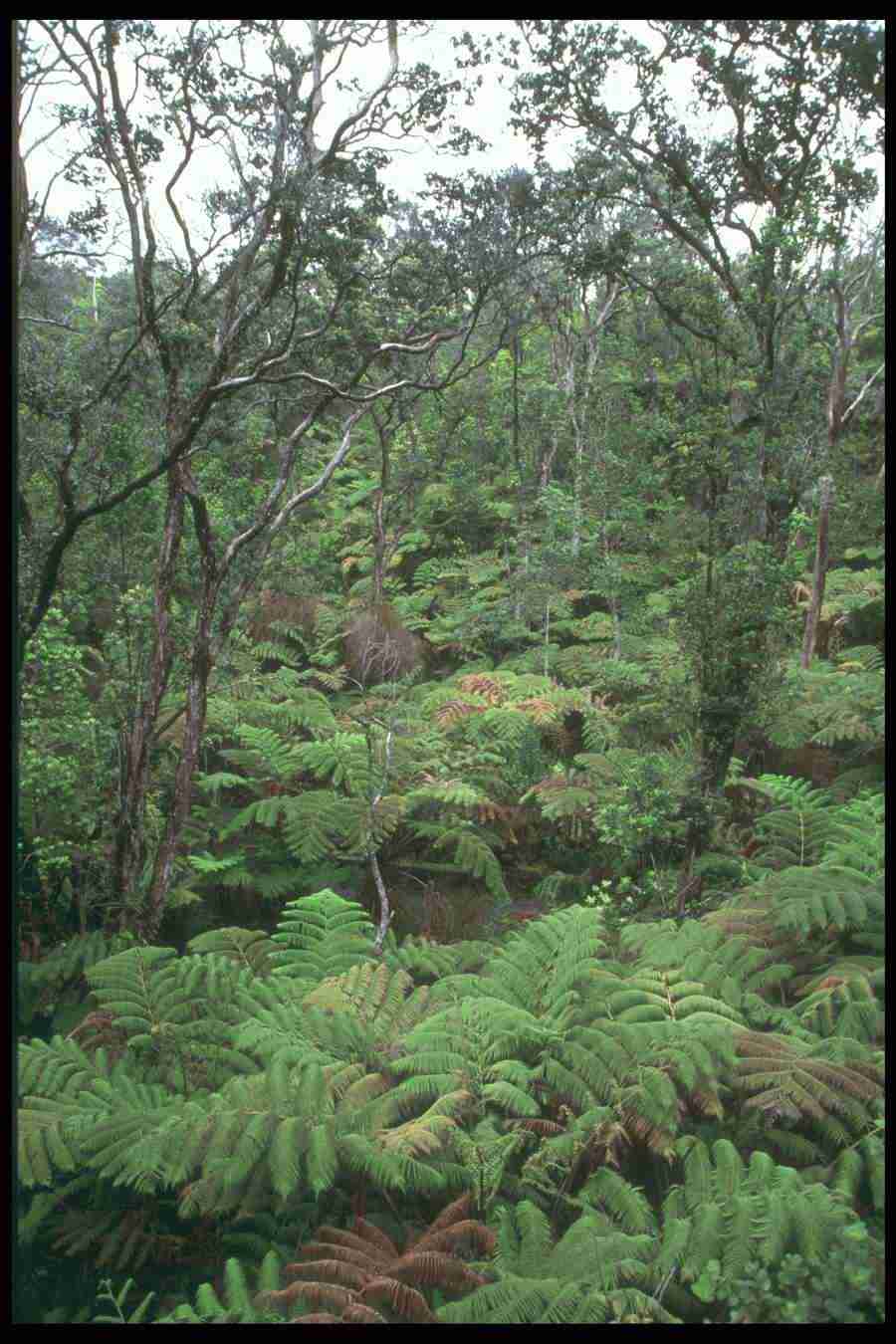 Landscape Of The World - Corel Professional Photos ></a>
<script language=JavaScript> 
  var txt = 