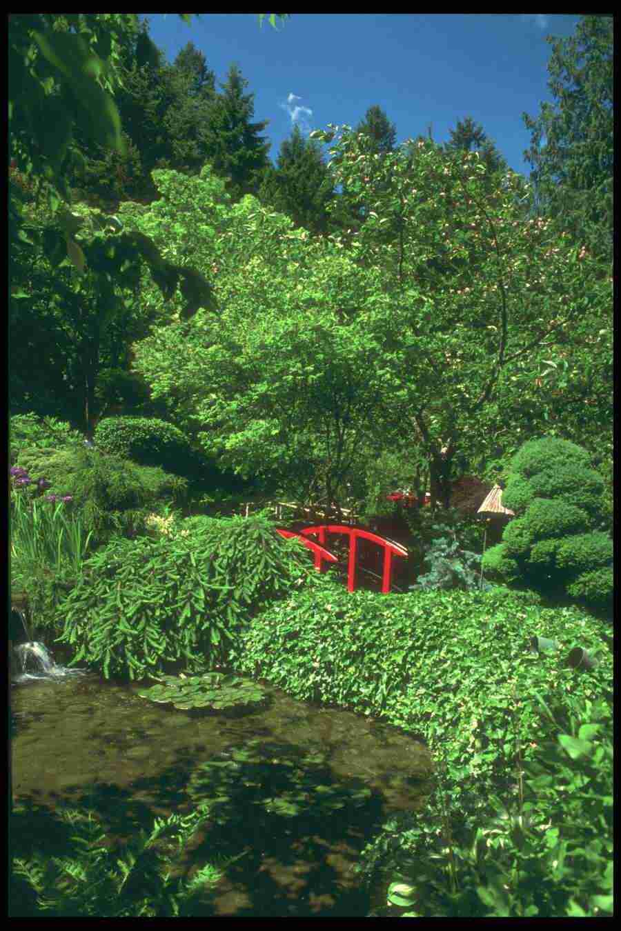 Landscape Of The World - Corel Professional Photos ></a>
<script language=JavaScript> 
  var txt = 