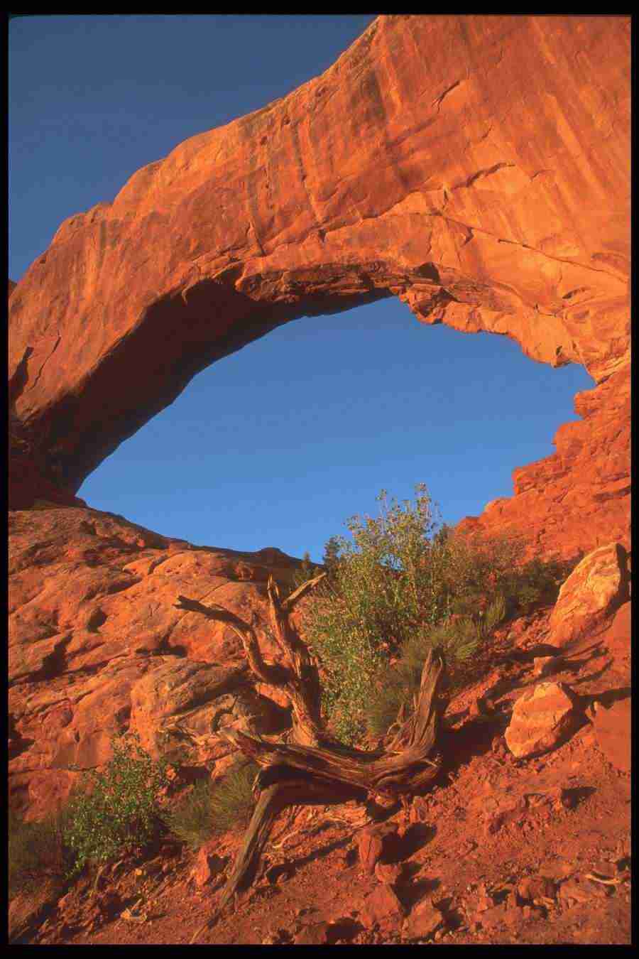 Landscape Of The World - Corel Professional Photos ></a>
<script language=JavaScript> 
  var txt = 