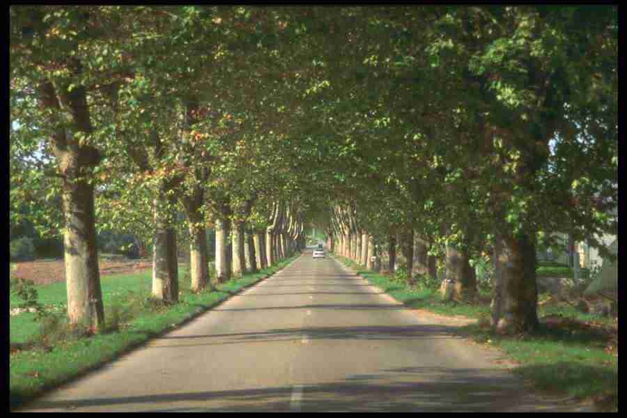 Landscape Of The World - Corel Professional Photos ></a>
<script language=JavaScript> 
  var txt = 