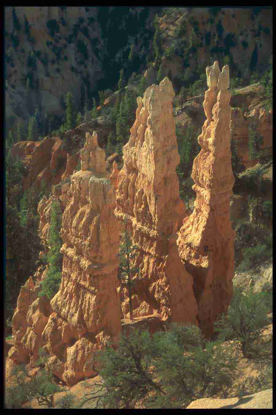 Landscape Of The World - Corel Professional Photos ></a>
<script language=JavaScript> 
  var txt = 