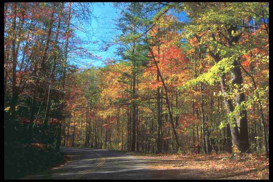 Landscape Of The World - Corel Professional Photos ></a>
<script language=JavaScript> 
  var txt = 