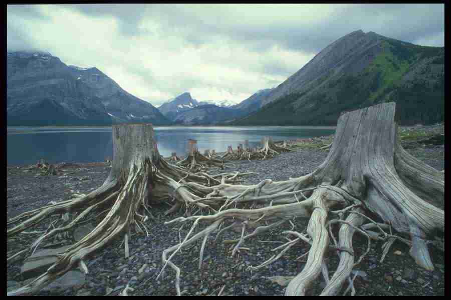 Landscape Of The World - Corel Professional Photos ></a>
<script language=JavaScript> 
  var txt = 