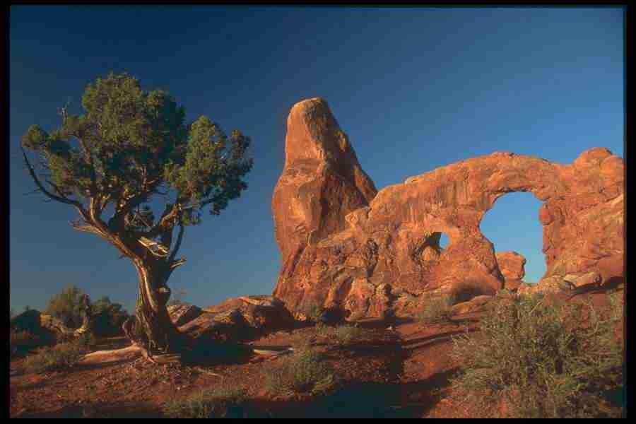 Landscape Of The World - Corel Professional Photos ></a>
<script language=JavaScript> 
  var txt = 