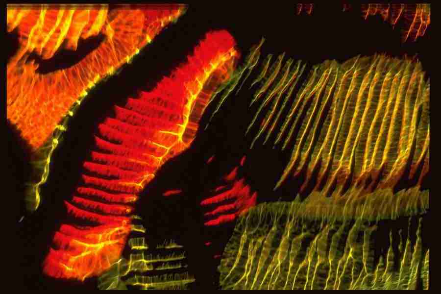 Light Textures - Corel Professional Photos ></a>
<script language=JavaScript> 
  var txt = 