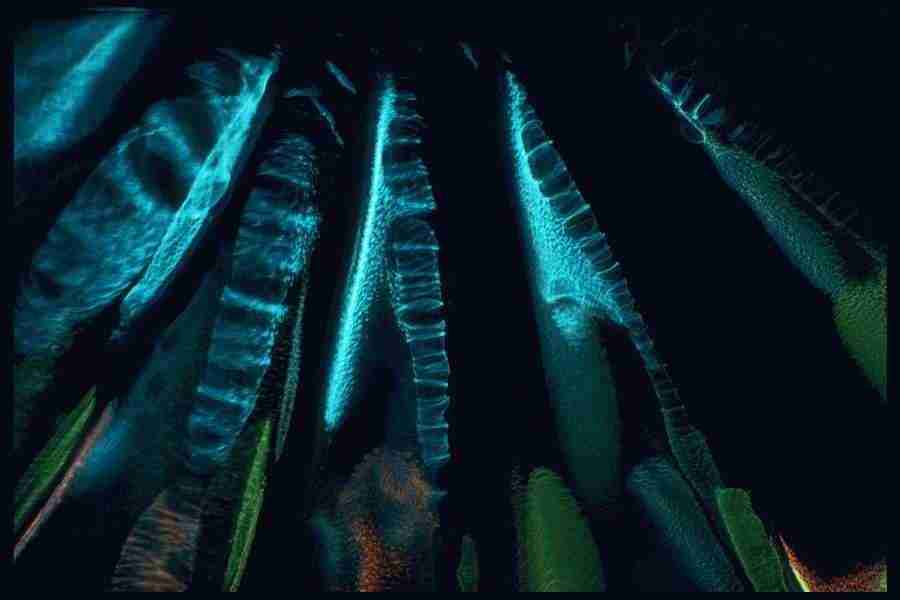 Light Textures - Corel Professional Photos ></a>
<script language=JavaScript> 
  var txt = 