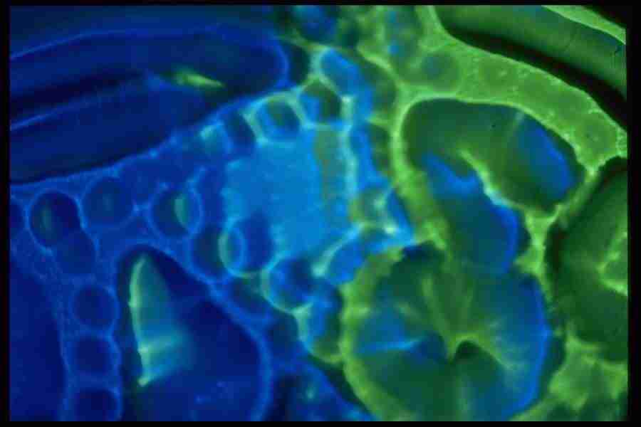 Light Textures - Corel Professional Photos ></a>
<script language=JavaScript> 
  var txt = 