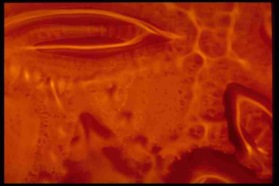 Light Textures - Corel Professional Photos ></a>
<script language=JavaScript> 
  var txt = 