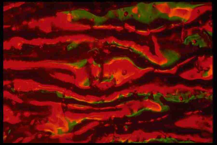 Light Textures - Corel Professional Photos ></a>
<script language=JavaScript> 
  var txt = 