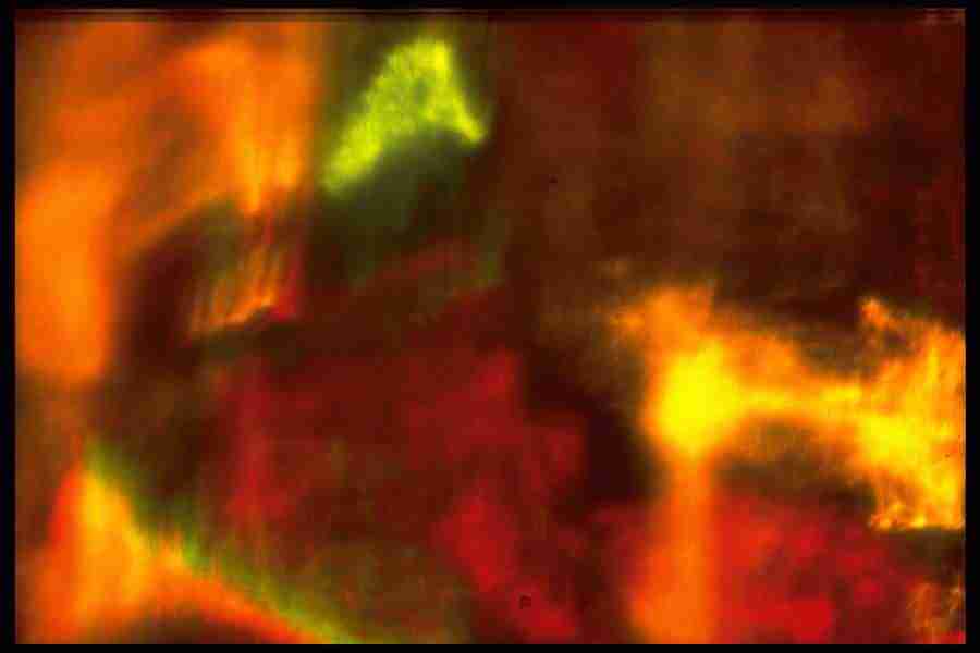 Light Textures - Corel Professional Photos ></a>
<script language=JavaScript> 
  var txt = 